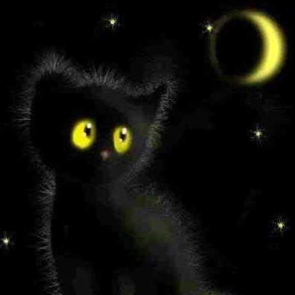 Meet your Posher, Victoria - Picture 1 of 1